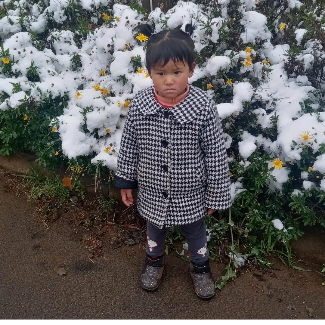 追梦人🐯🐯🦁🦁