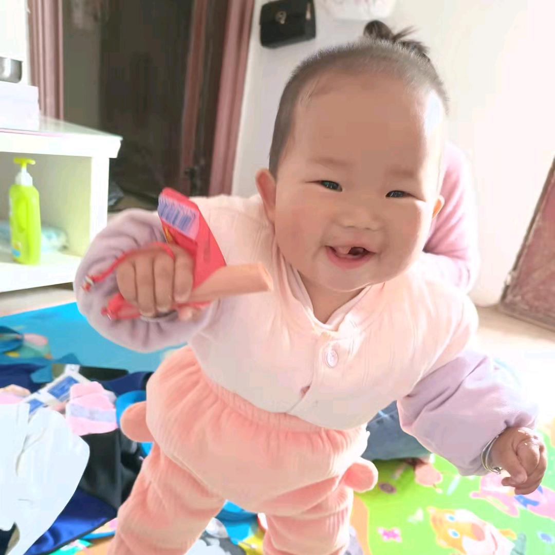 小燕子