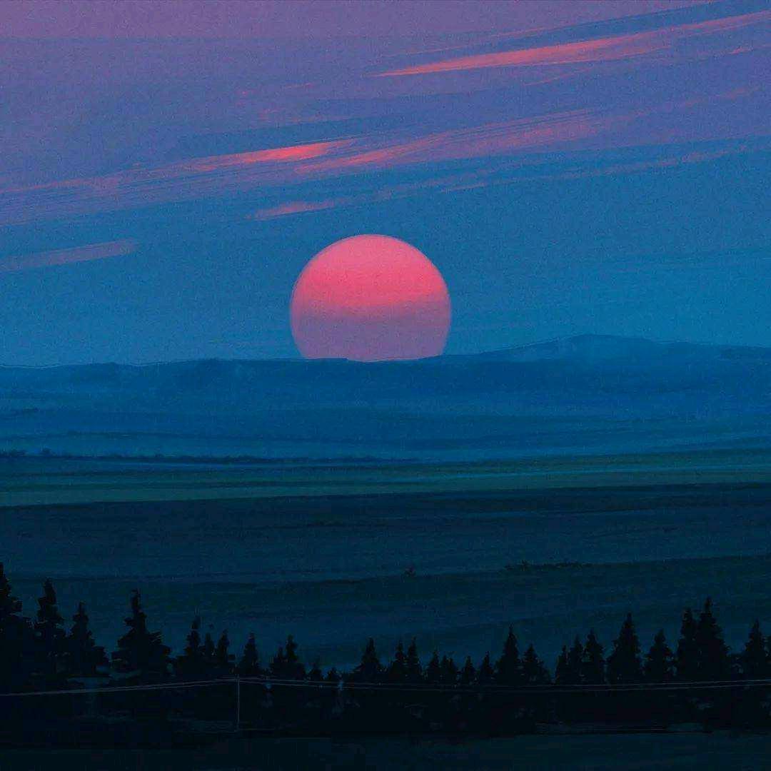 旺旺白241345568