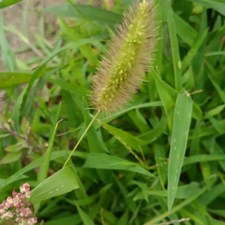 🌈🌈🔥宝剑锋从磨砺出