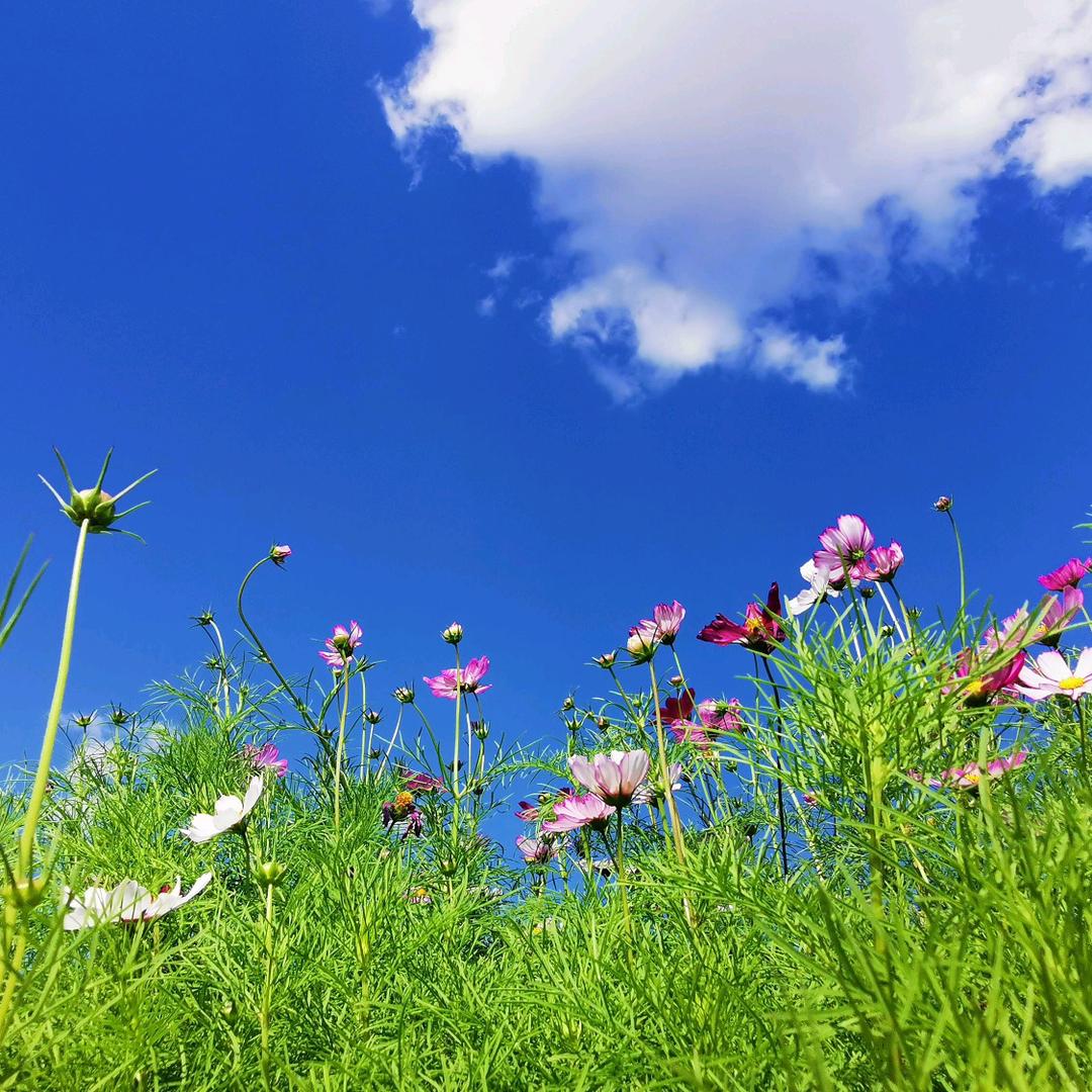 若水(橱窗有好物)