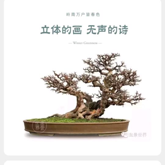明德轩园艺