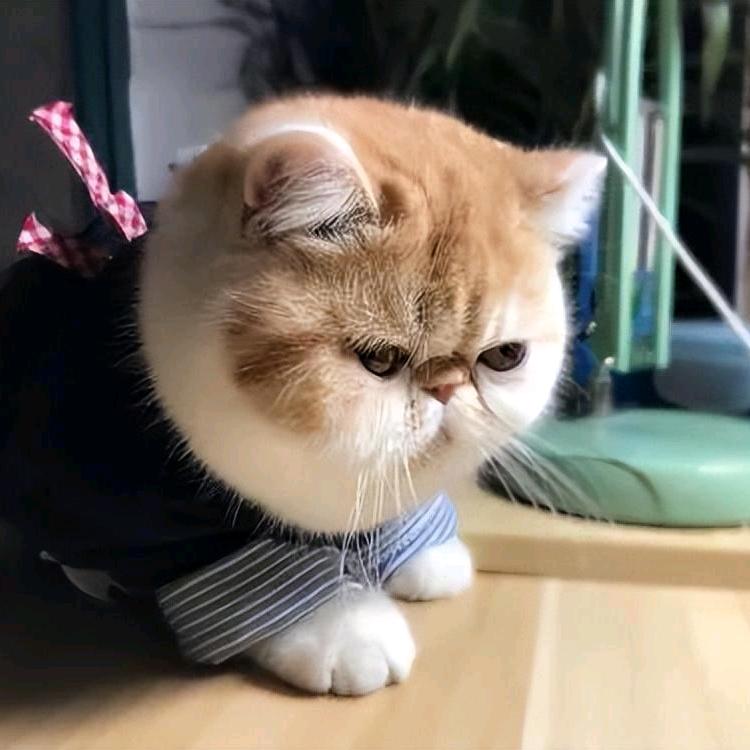 莳間冲淡了誓言ζ