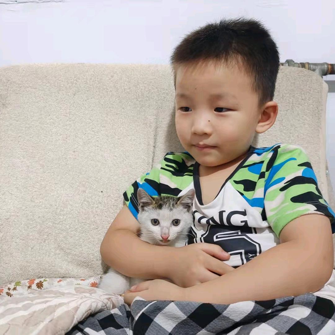 门神护也