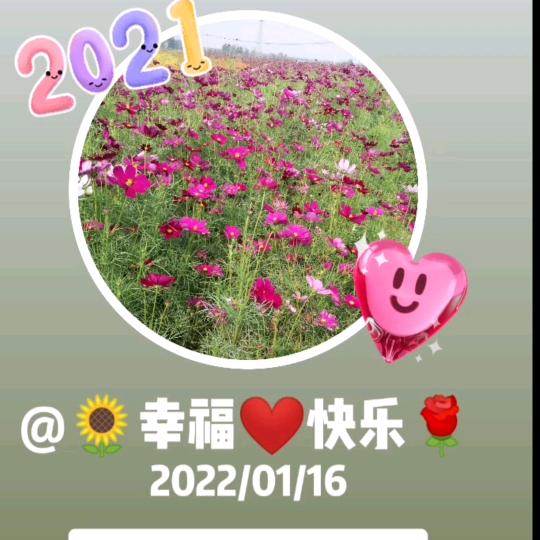 @大侠🌹🌹