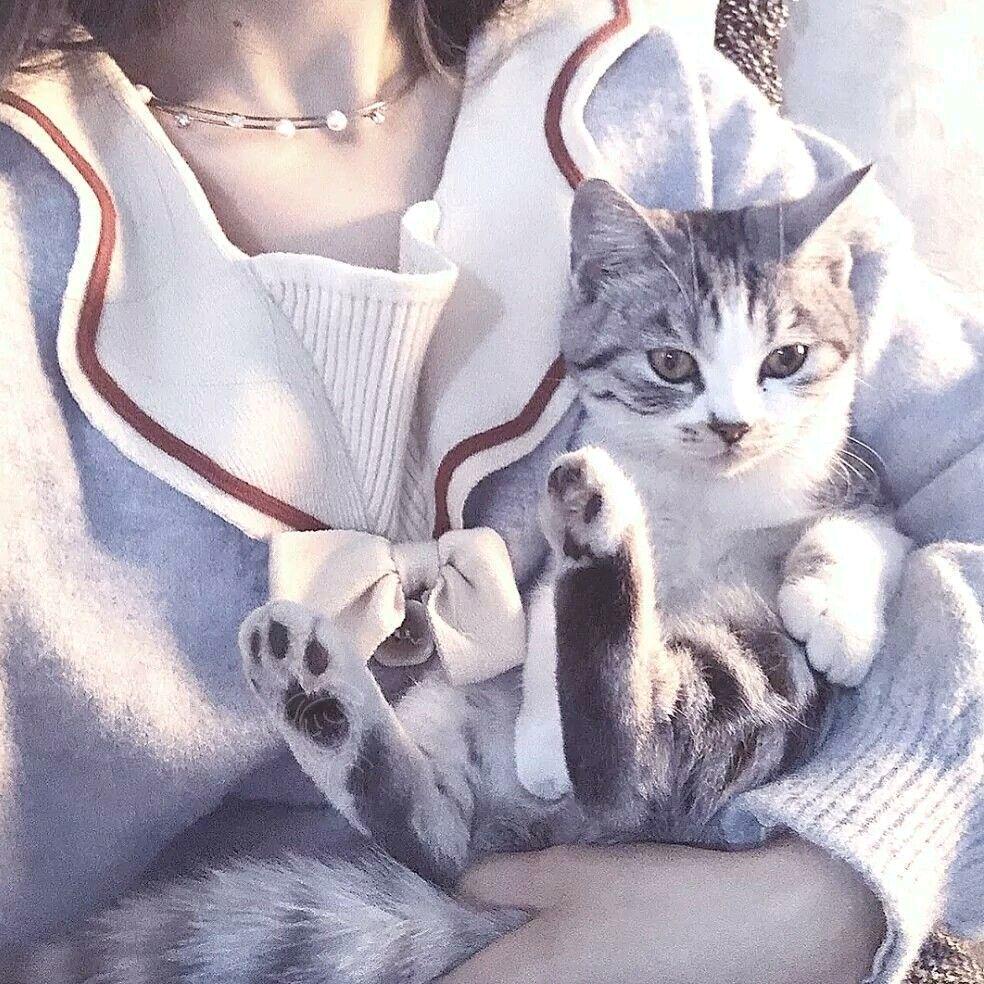 瑞贝仙鸭Ꮤ