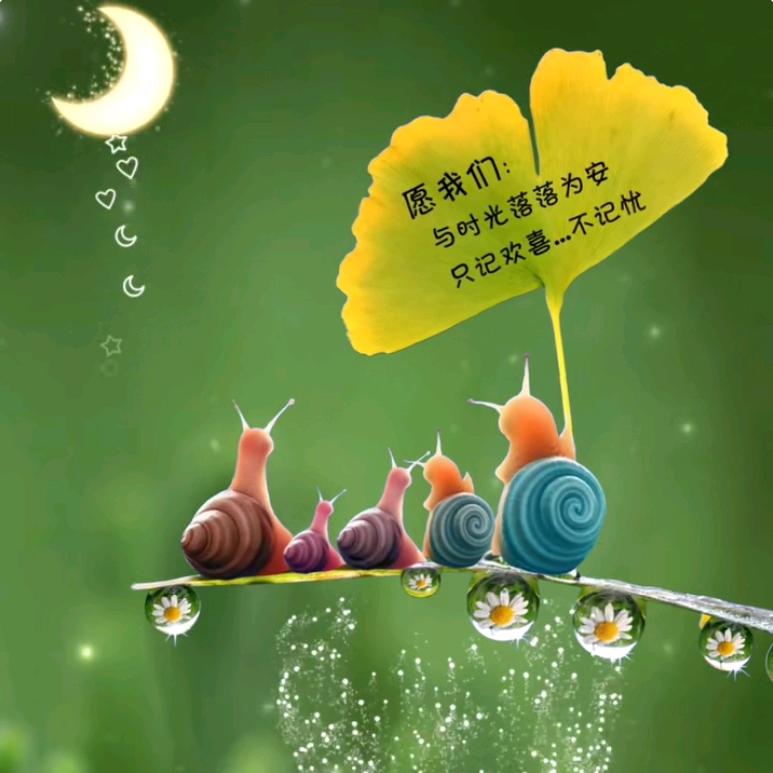 👣瓶儿