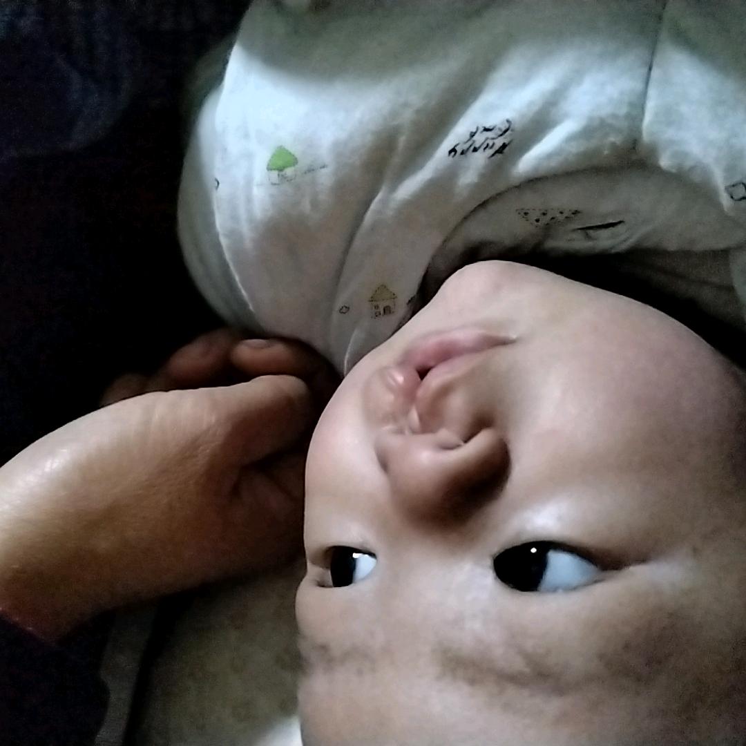 家有五宝贝