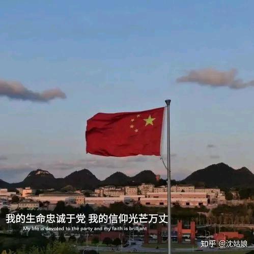 种花家的小兔