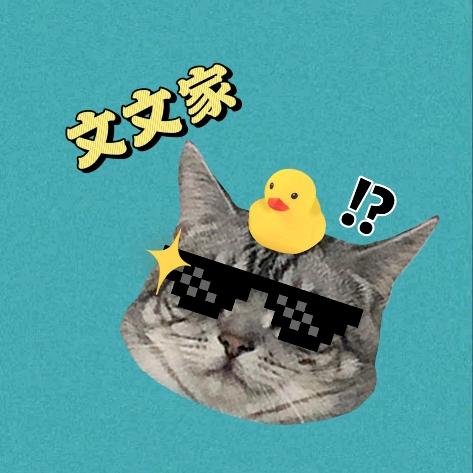 文文家生活有好物