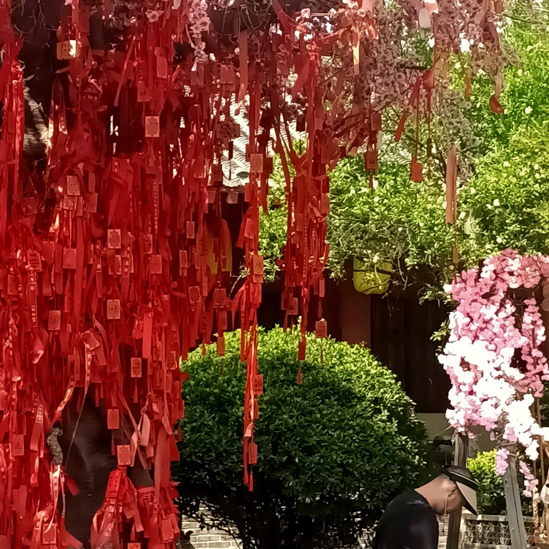 家