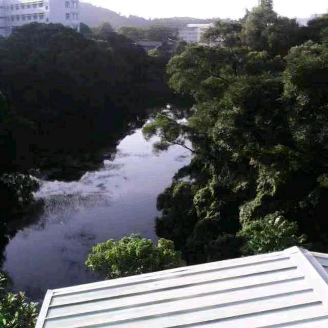 天长地久长