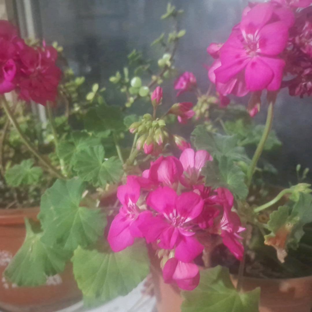 快乐每一天机械制造有限公司