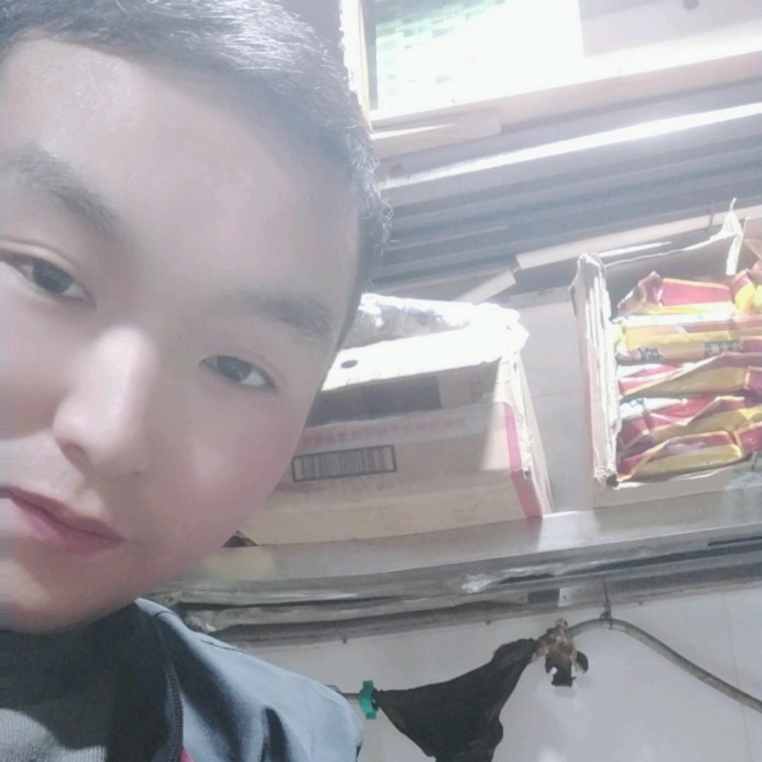 工地老向