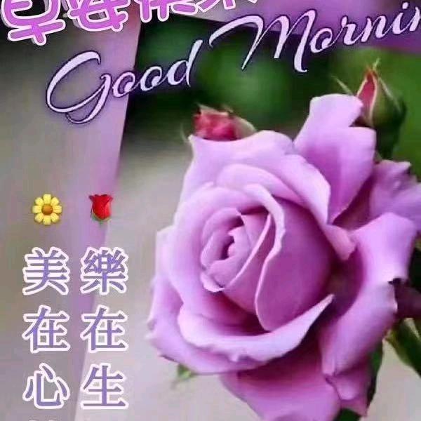风雨情