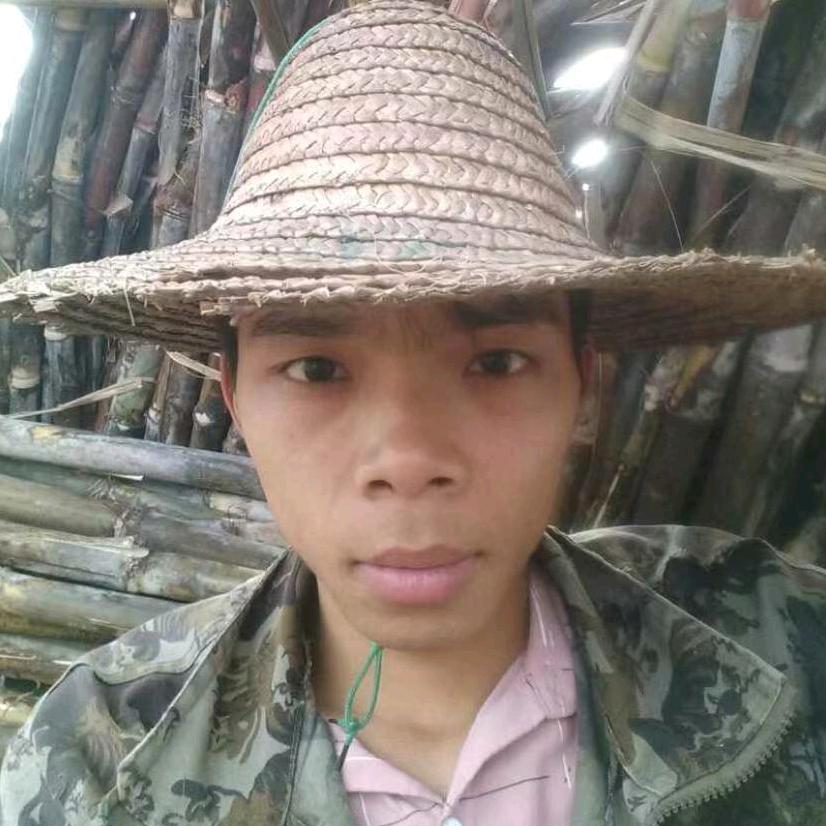 姓何名必问