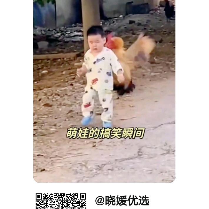 付怀强