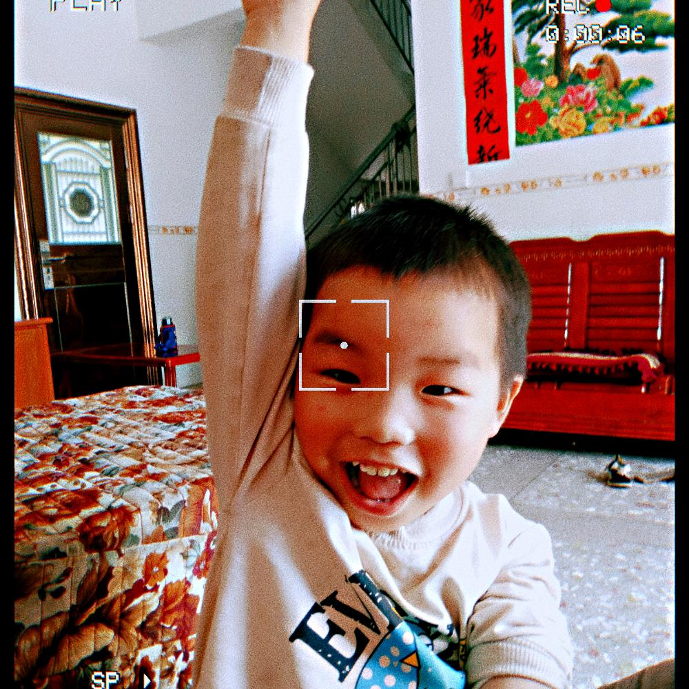 杨