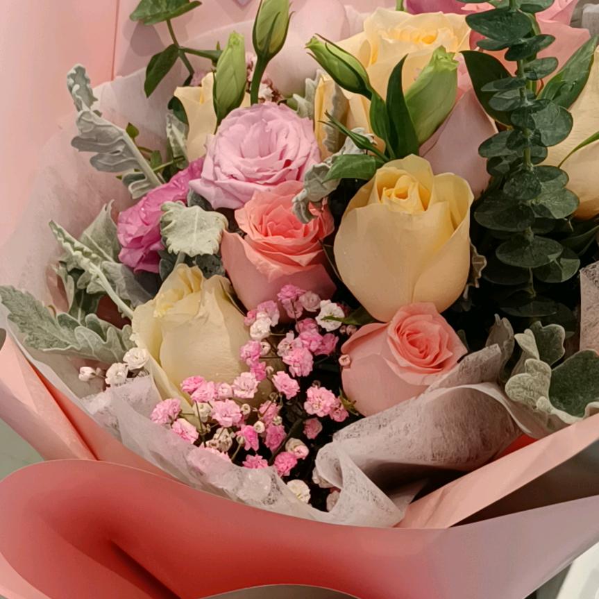 兔宝─=≡Σ((( つ•̀ 3 •́)