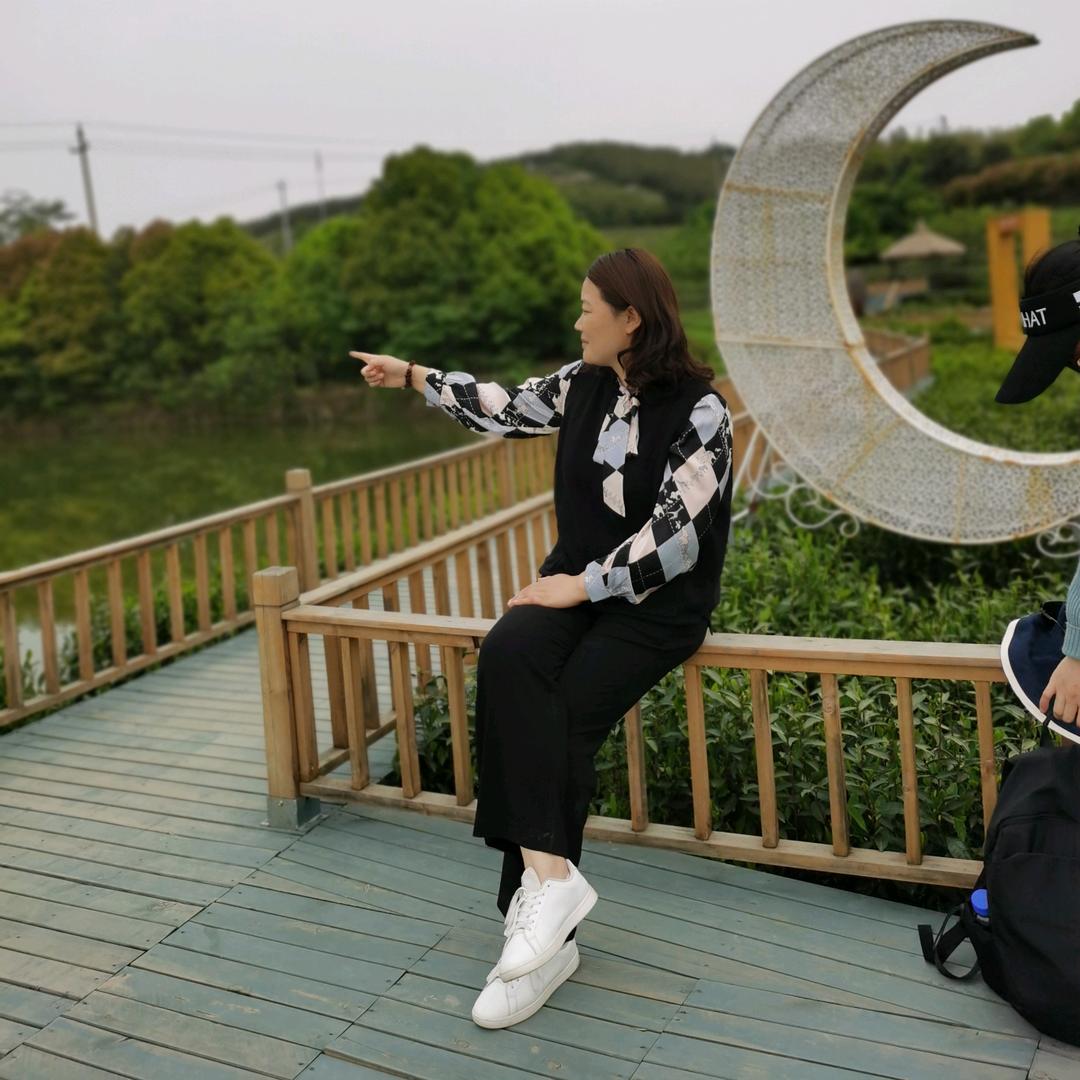 菊花朵朵
