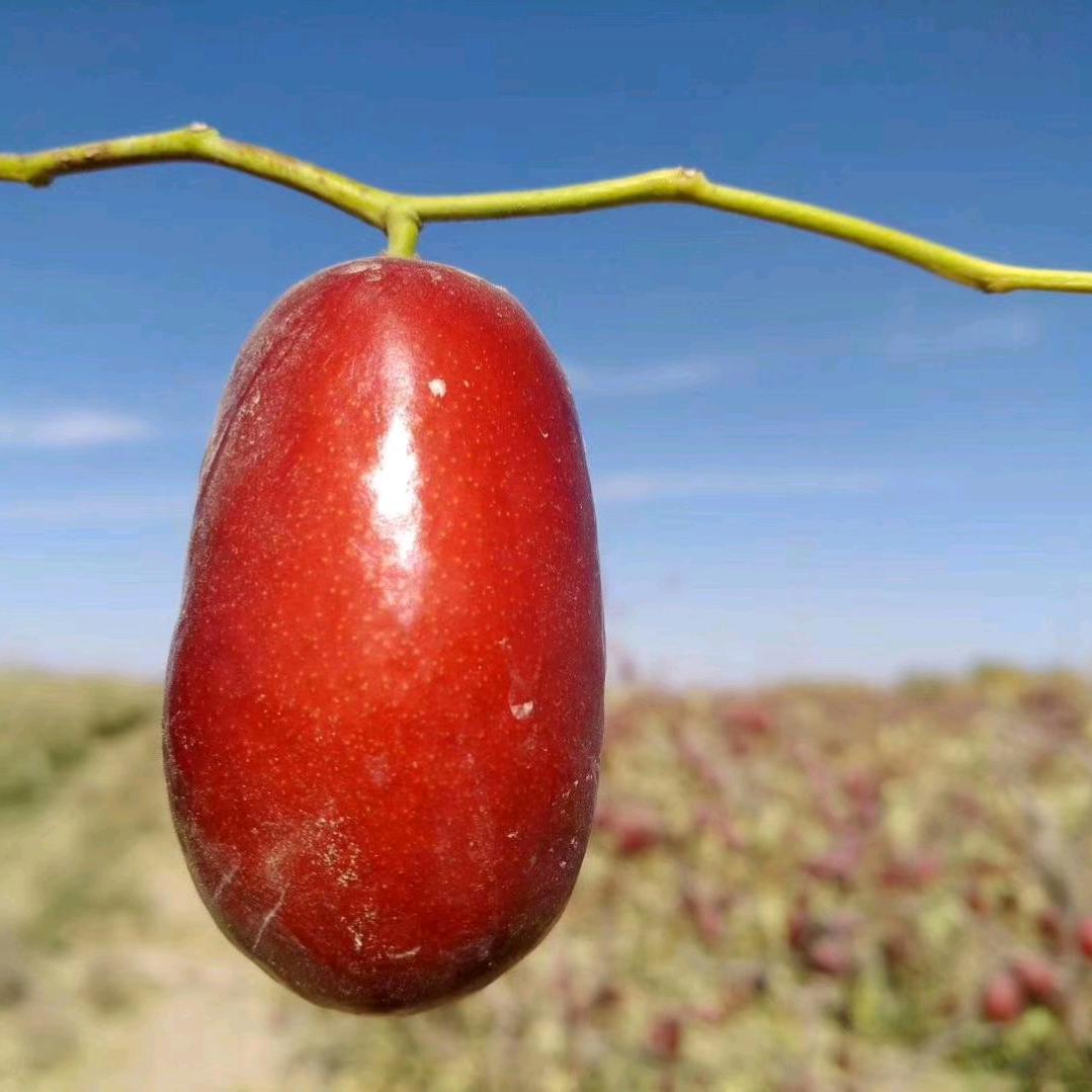 昆玉市疆味来干果店