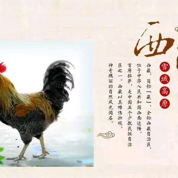 客都埔缘