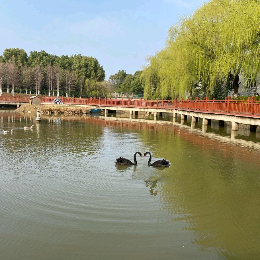 清华北大苏工院