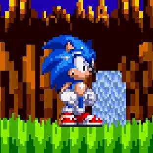 索尼克(心花怒放￥)