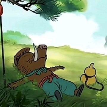 一天一个样