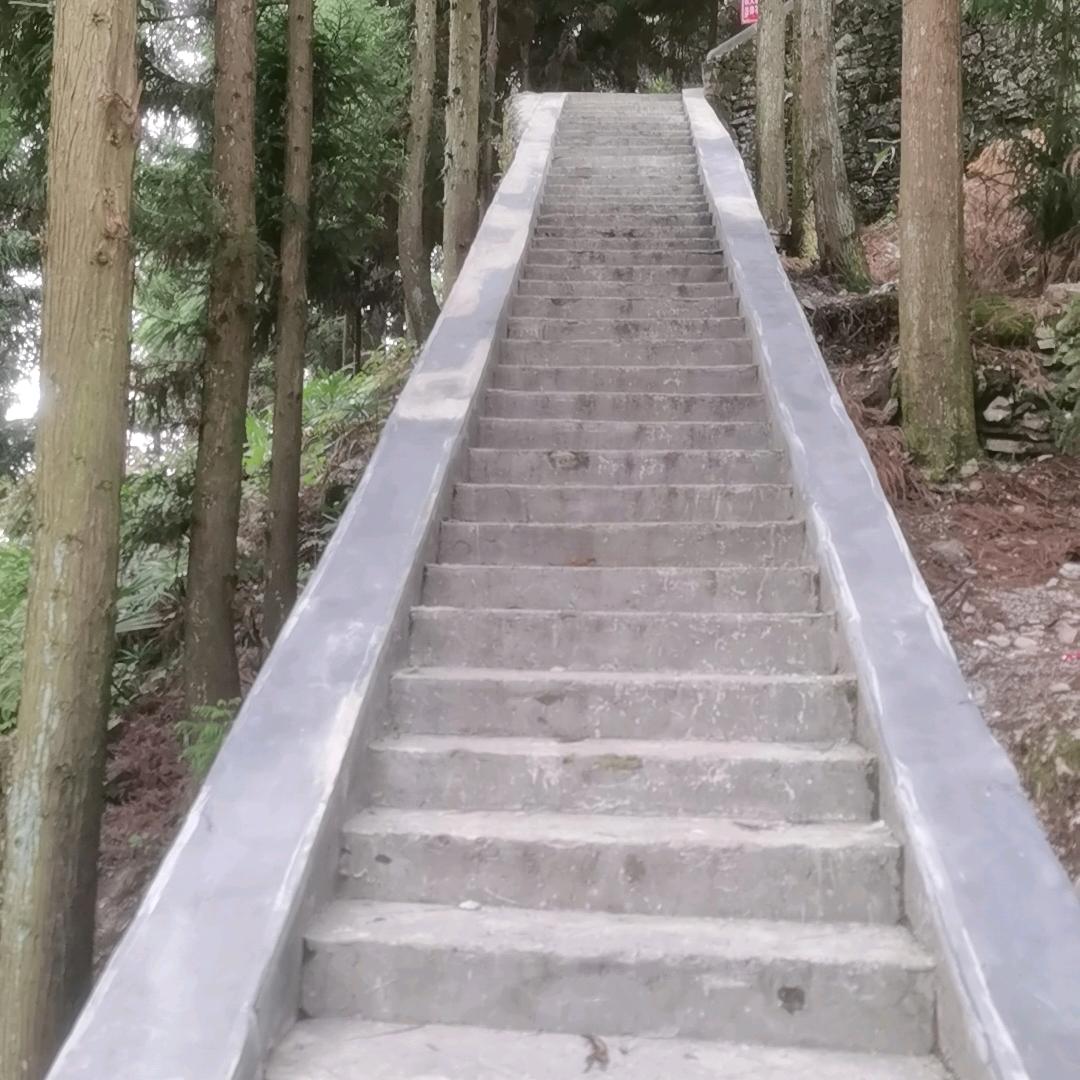 还活着