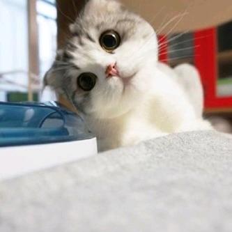谁当我宝贝