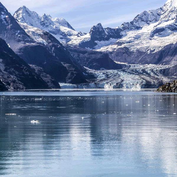 @“品味人生……品味人生”