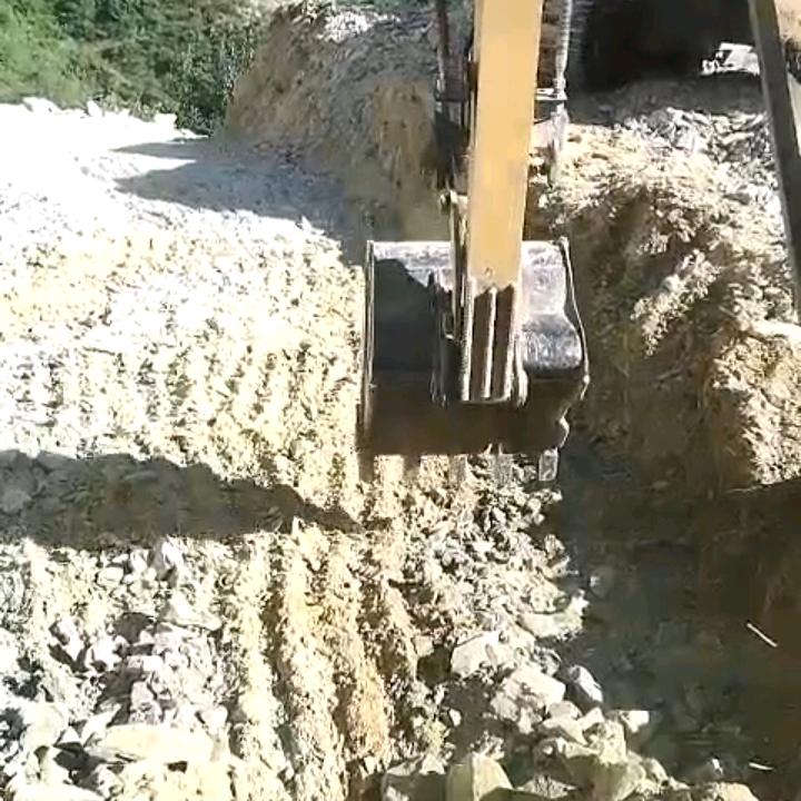 小强不要怂就是干