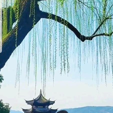 自娱自乐