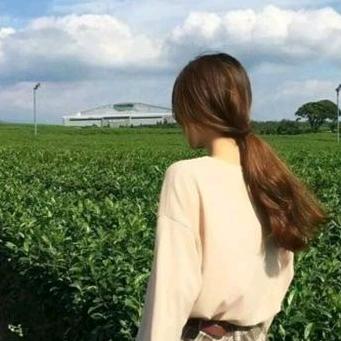 醉芙蓉