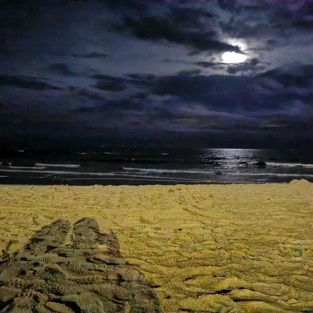海豚玲珑