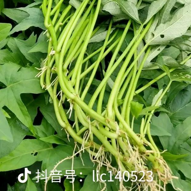 未来150479933