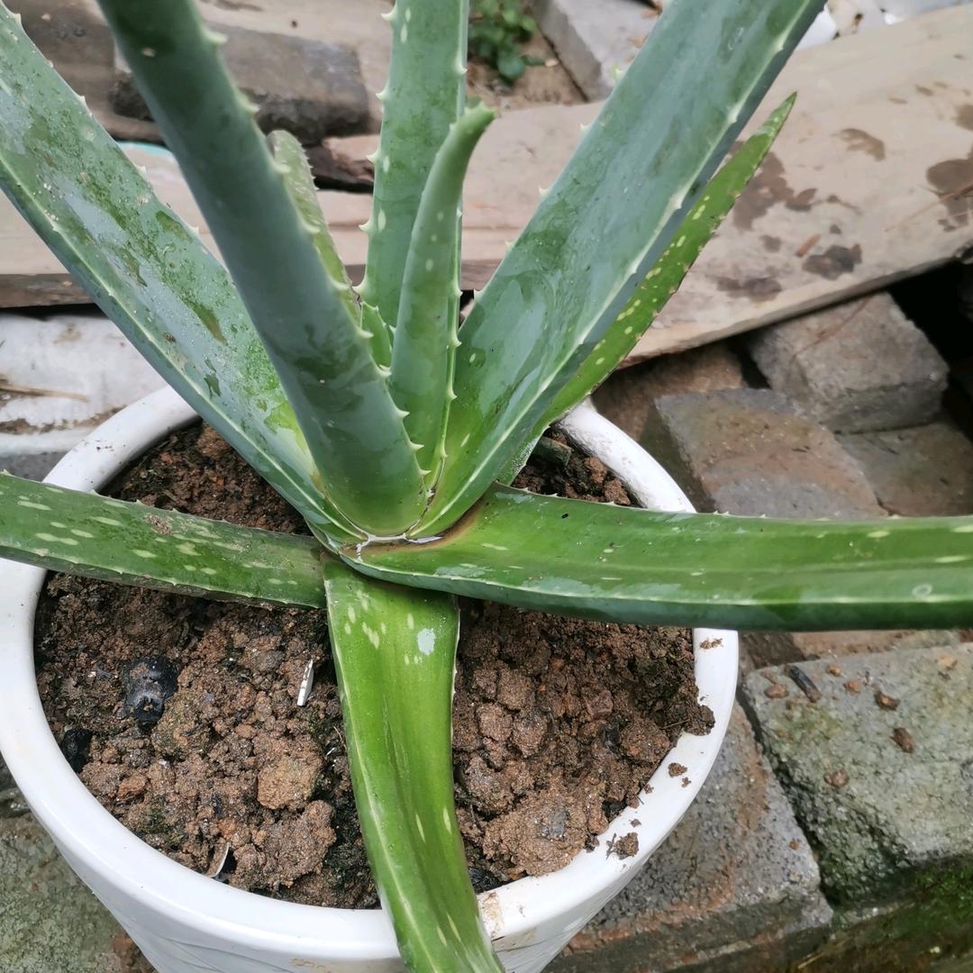 寻找