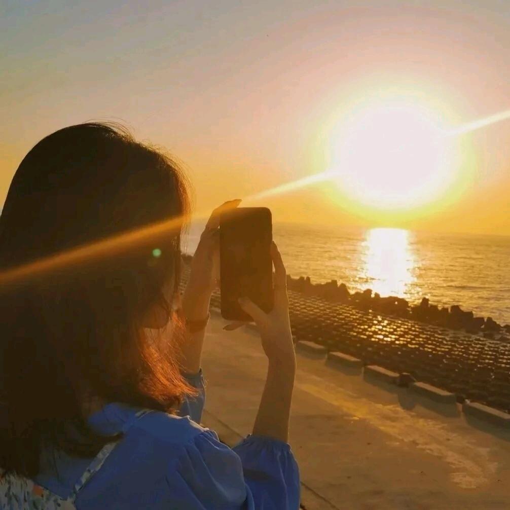 白茶清欢无别事