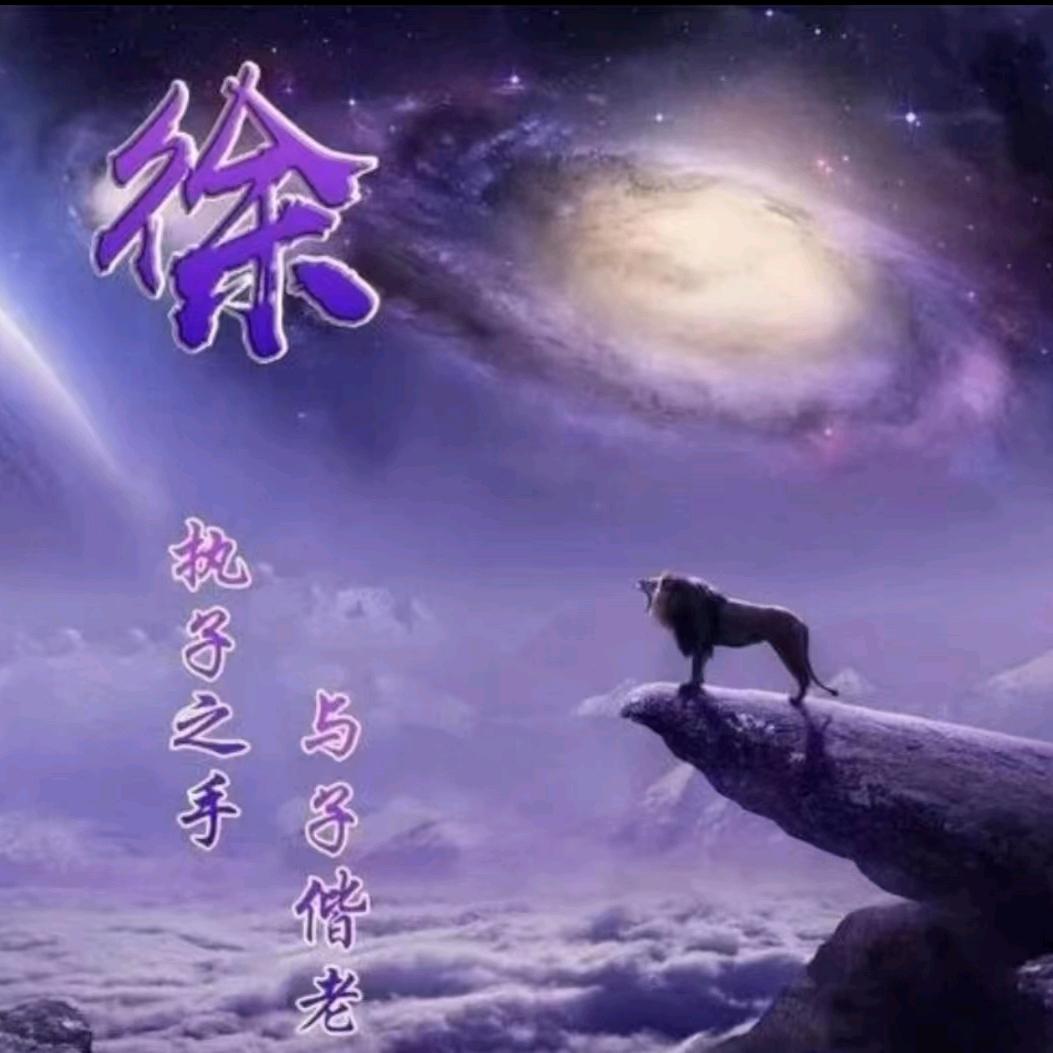 徐徐微风（橱窗好物）