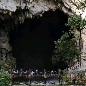 胜哥