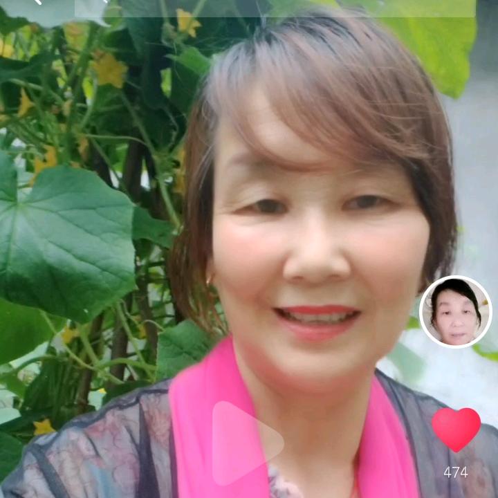 杨巧