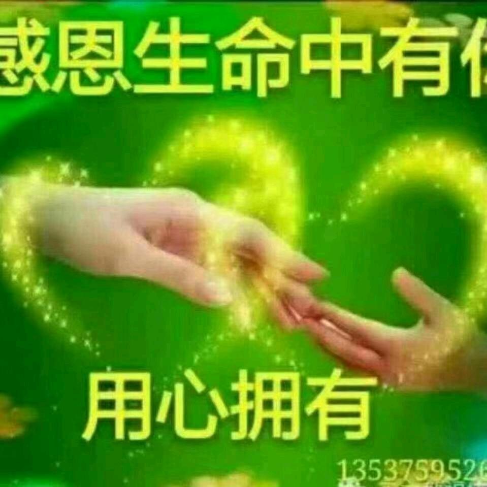 浪漫人生