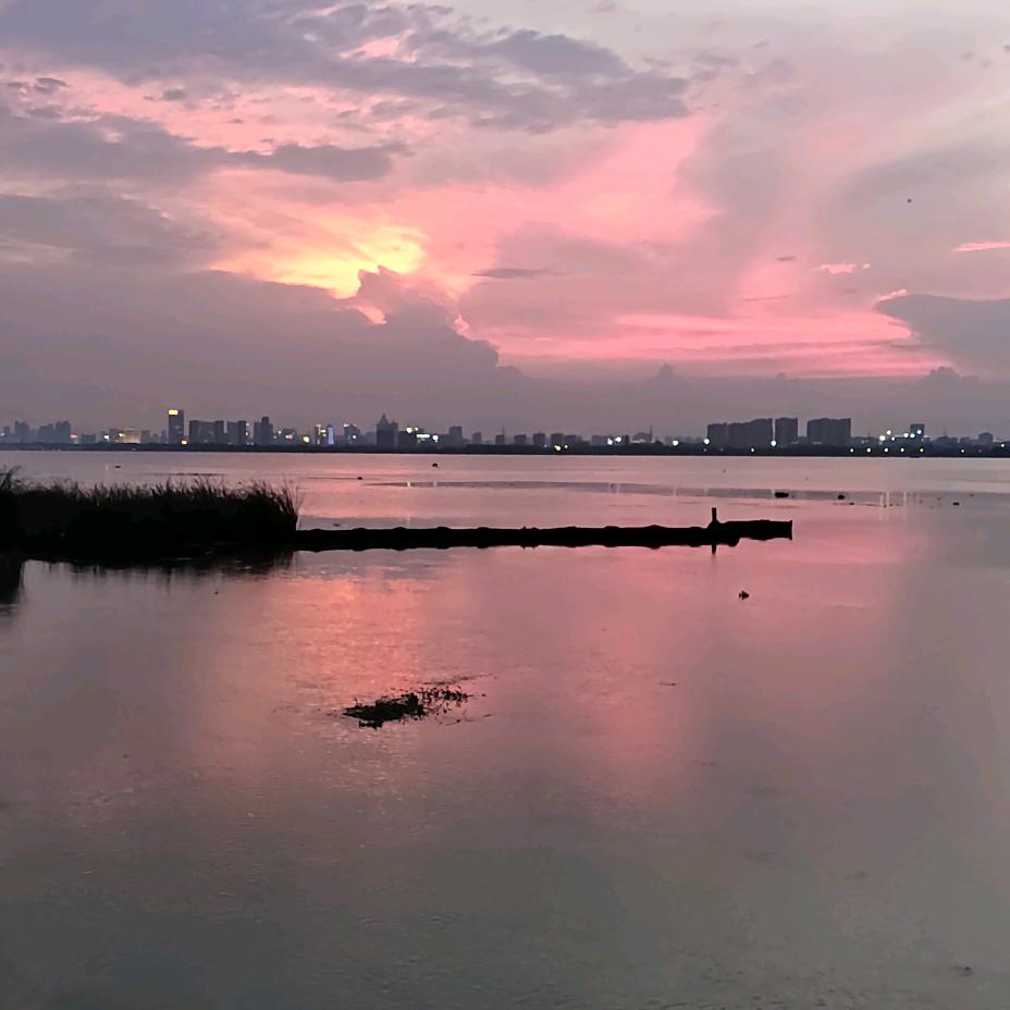 浅水流石
