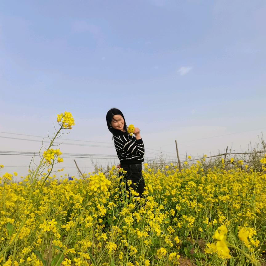 芳菲夕雾