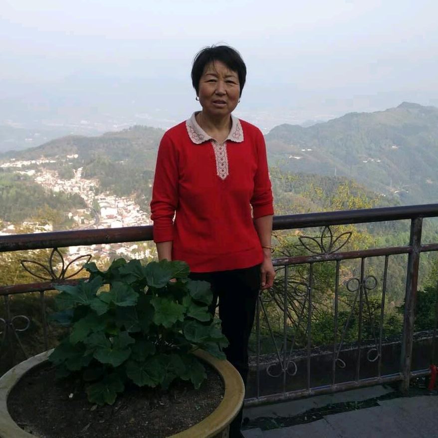 海金沙 车前子大货