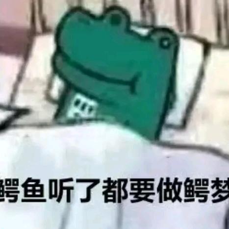 一只鳄鱼🐊