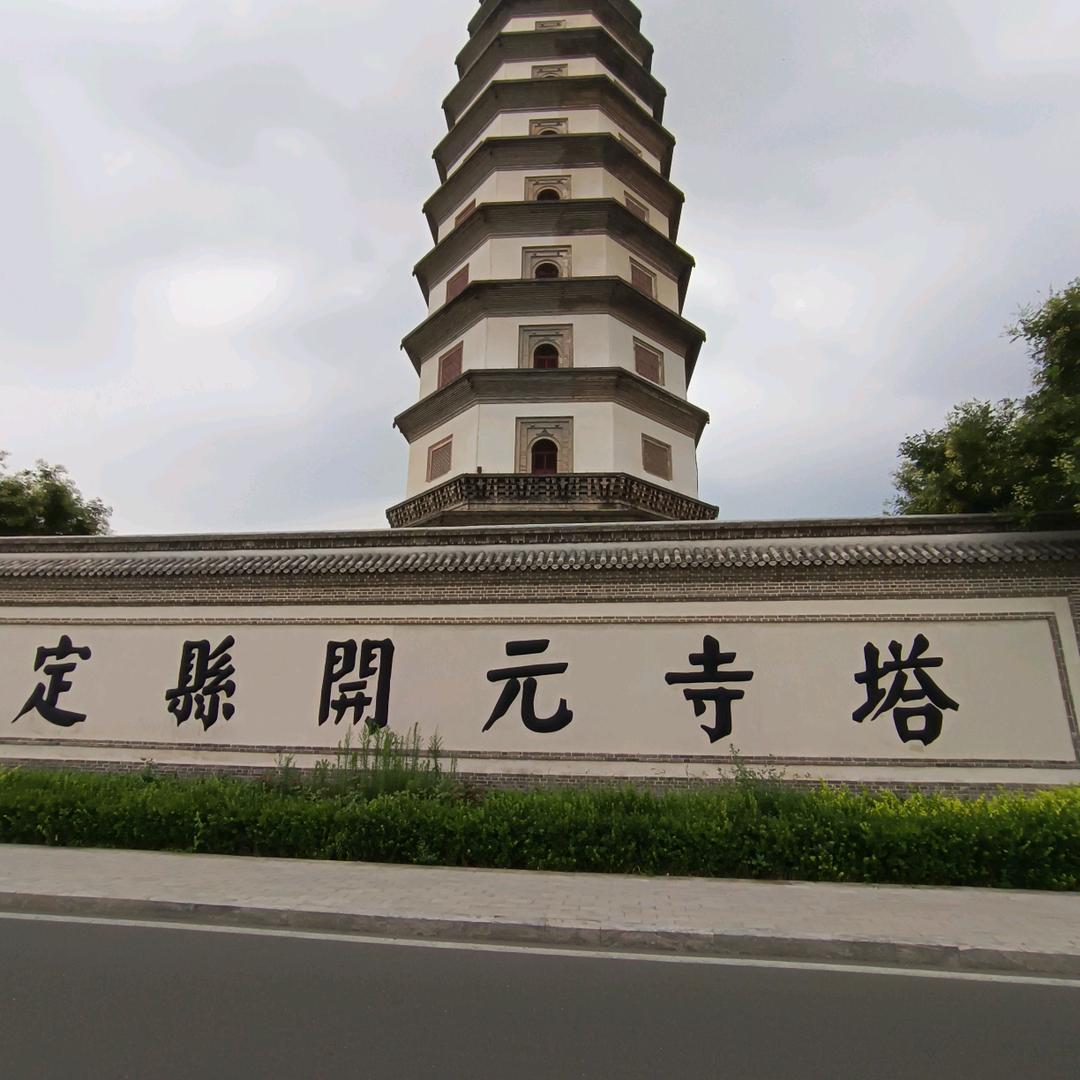 雪莲花