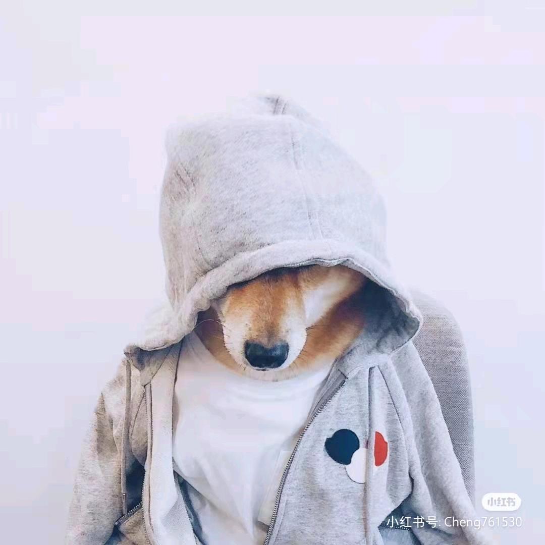 小红帽