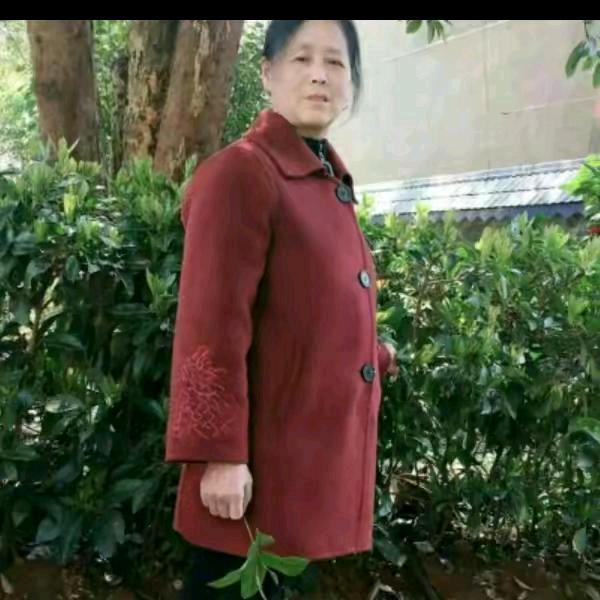 三姐家凤🌺